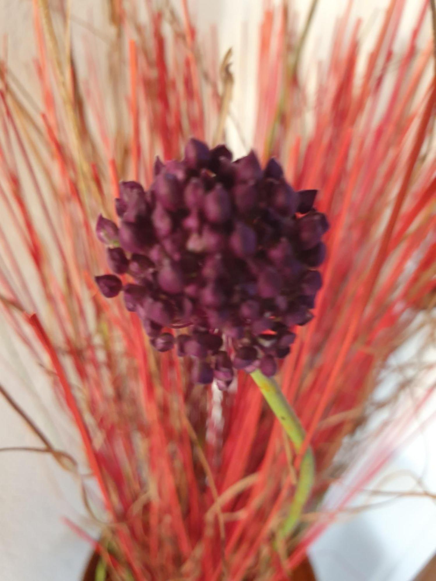זאדאר Apartments Amelie חדר תמונה
